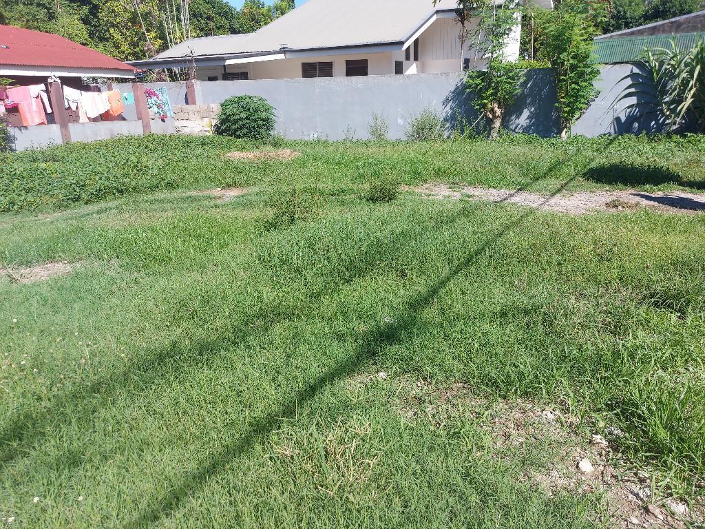 SEMI COMMERCIAL PROPERTY FOR SALE ID 14901 in Dumaguete - Image 14