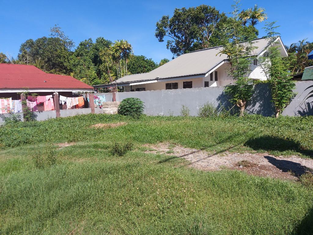 SEMI COMMERCIAL PROPERTY FOR SALE ID 14901 in Dumaguete - Image 13