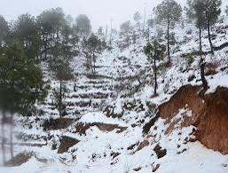 Fresh yourself by Nature Tour packages in Ranikhet in Bhavnagar - Image 4