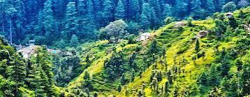 Fresh yourself by Nature Tour packages in Ranikhet in Bhavnagar - Image 7