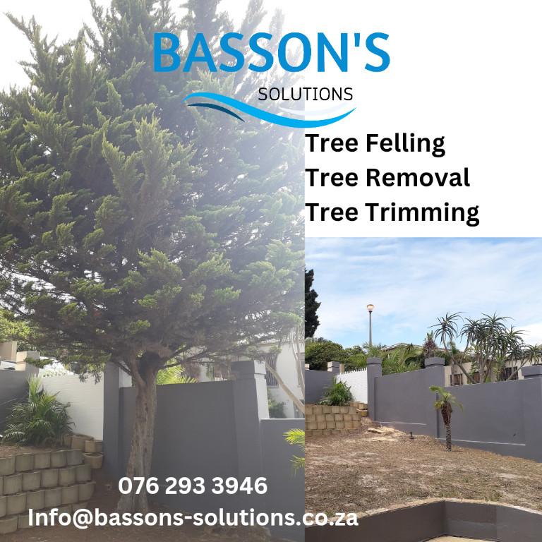 Handyman services in Bellville - Image 8