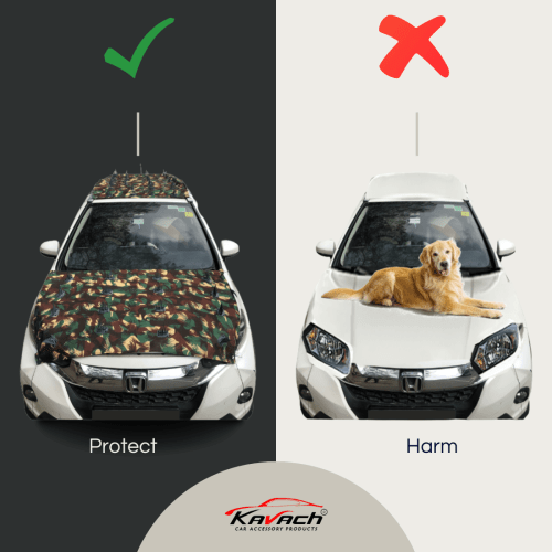 Car Protection Cover from Dogs, Monkeys & Stray Animal in Pitampura - Image 1