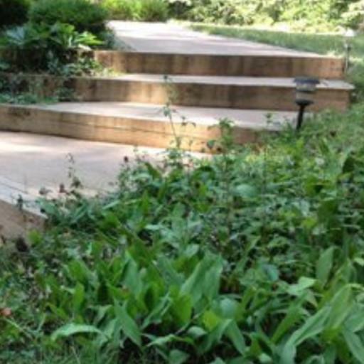Professional Masonry in Ramapo - Image 1