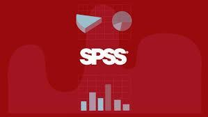 APLICACION Y MANEJO DEL PROGRAMA ESTADISTICO SPSS en Culleredo - Imagen 3