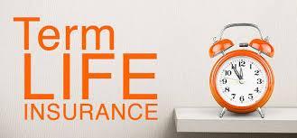 TERM INSURANCE PLAN,MADURAI in Madurai - Image 7