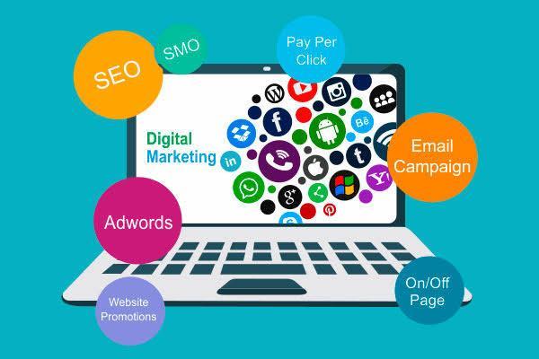 Web Design And Development Services in Amroha in Moradabad - Image 2