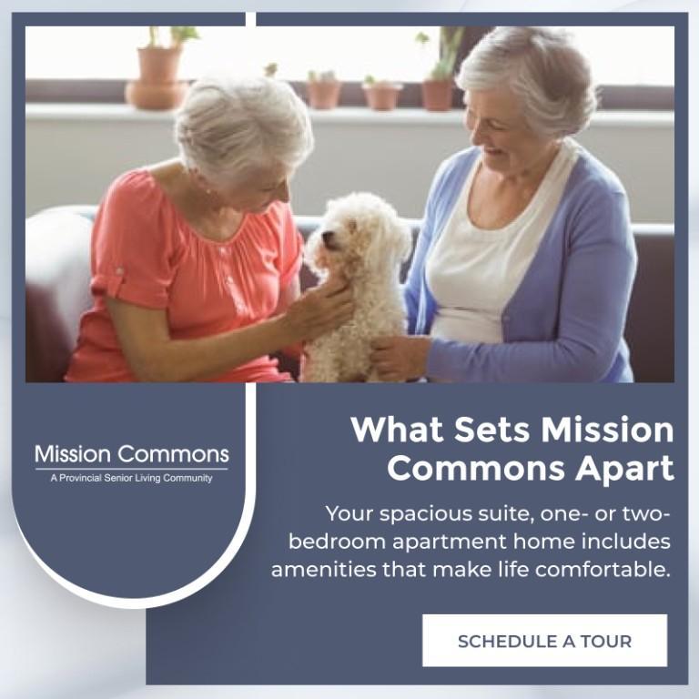 Mission Commons in Redlands - Image 2