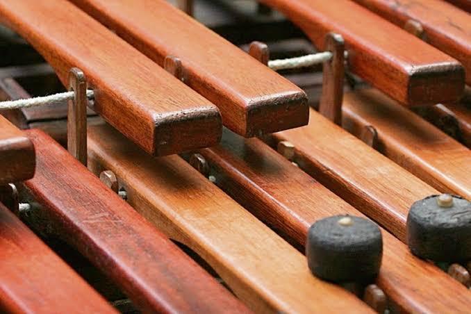 Marimba Chiapaneca en Toluca, Metepec, Lerma en Tacuba - Imagen 1