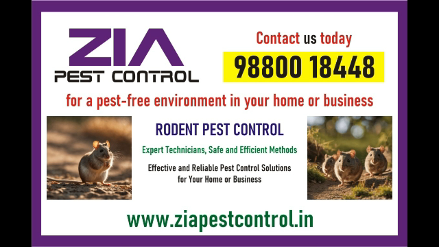 Zia Pest Control | Rodent Control | Effective pest services prov in Shanti Nagar - Image 1