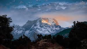 Chopta Unveiled The Definitive Tour Package Guide in Dehradun - Image 3