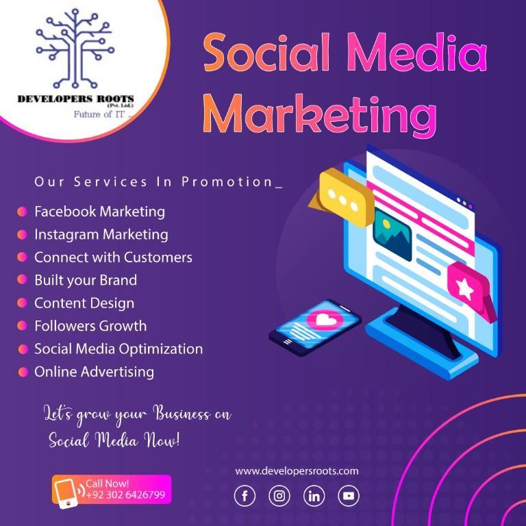 Web Design, Branding, Graphics, Video Editing, SEO, Marketing in Gujranwala - Image 6