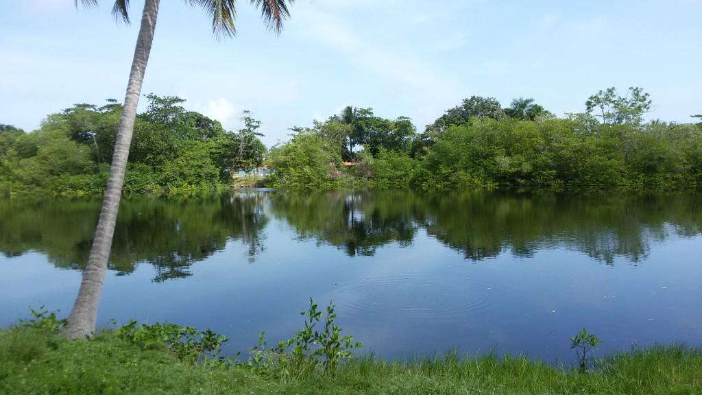 APARTAMENTO DE PLAYA, CONDOMINIO LAS MERCEDES,PAPARO. en Venezuela - Imagen 5