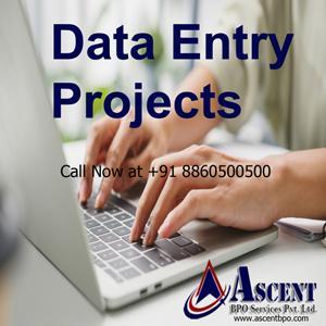 Data Entry Projects outsourcing in Shāhdara - Image 1