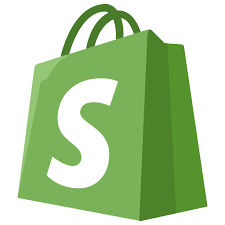 Shopify store Design and Development agency in Junagadh - Image 1