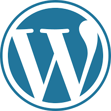 Shopify store Design and Development agency in Junagadh - Image 2