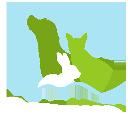 Hills Vets In Crouch End in Wimbledon - Image 1