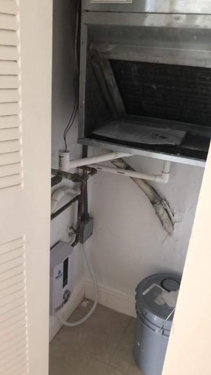 DISPONIBLE APARTAMENTO 2 CUARTOS 2 BANOS en Miramar - Imagen 2