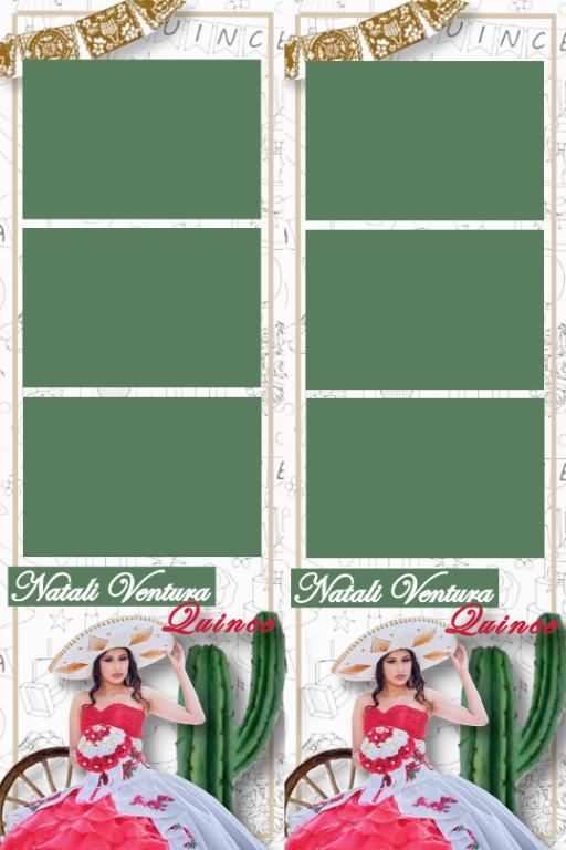 150/Hour Photo Booth! in Arcadia - Image 14
