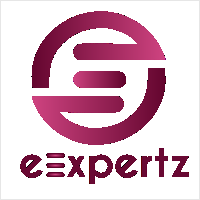Website Development Company in India - eExpertz in Rajkot - Image 1