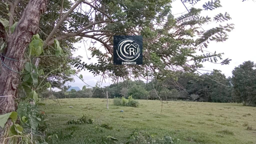 LOTES EN VENTA EN SAN LUIS TOLIMA en Ibagué - Imagen 3