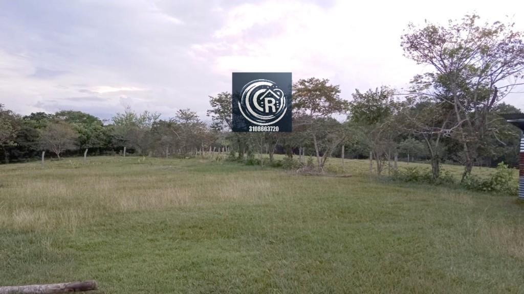 LOTES EN VENTA EN SAN LUIS TOLIMA en Ibagué - Imagen 4