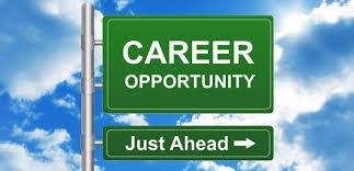 JOB OPPERTUNITIES in Tanuku - Image 2