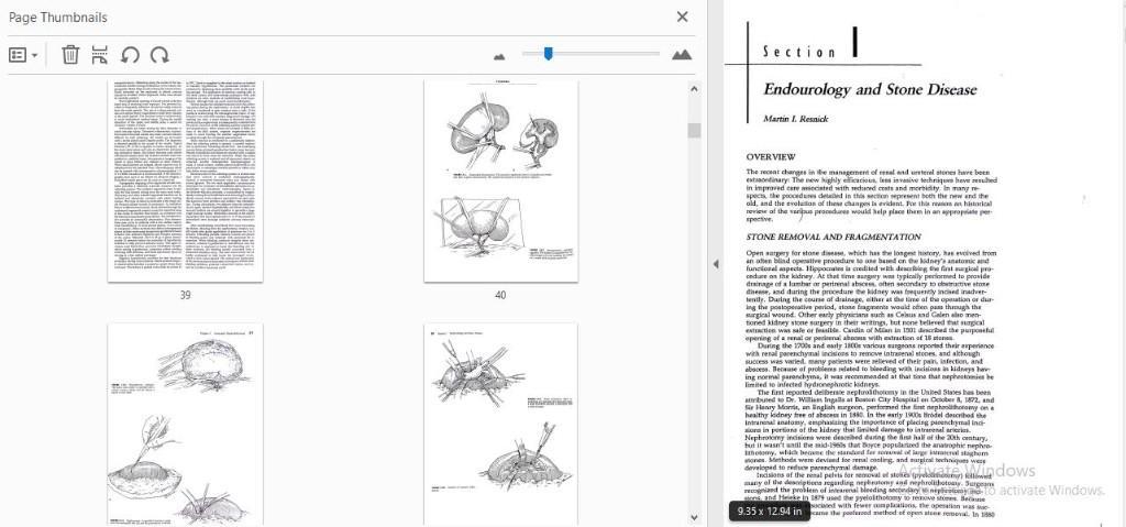BOOK SCANNING SERVICE in San Donisio - Image 4