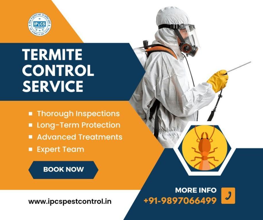 Best Pest Control Service in Breilly in Bareilly - Image 2