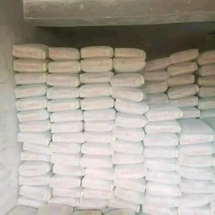 Bua Cement Distributors in Nigeria - Image 4