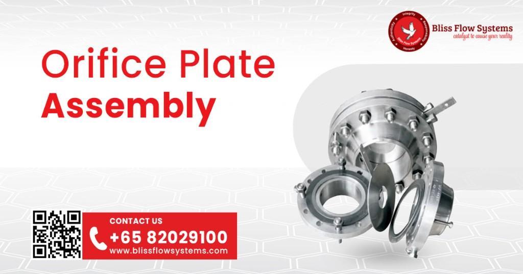 Orifice Plate Assembly Bliss Flow System in India - Image 1