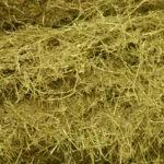 ALFALFA EN RAMA en Alcázar de San Juan - Imagen 3