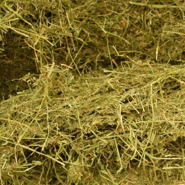 ALFALFA EN RAMA en Alcázar de San Juan - Imagen 1