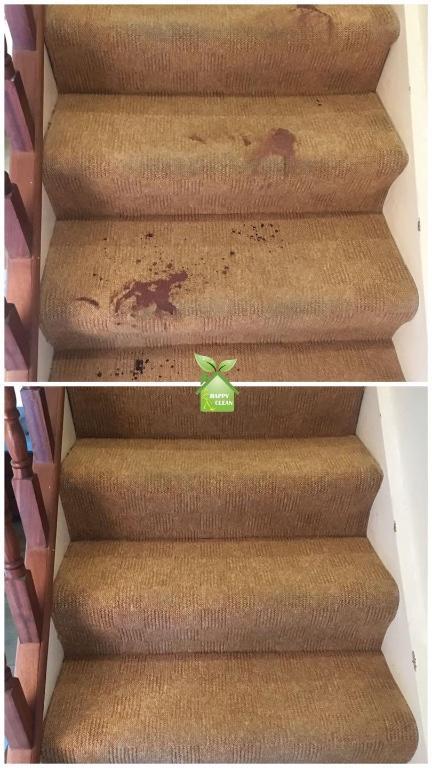 PROFESSIONAL CARPET CLEANING in Leixlip - Image 3
