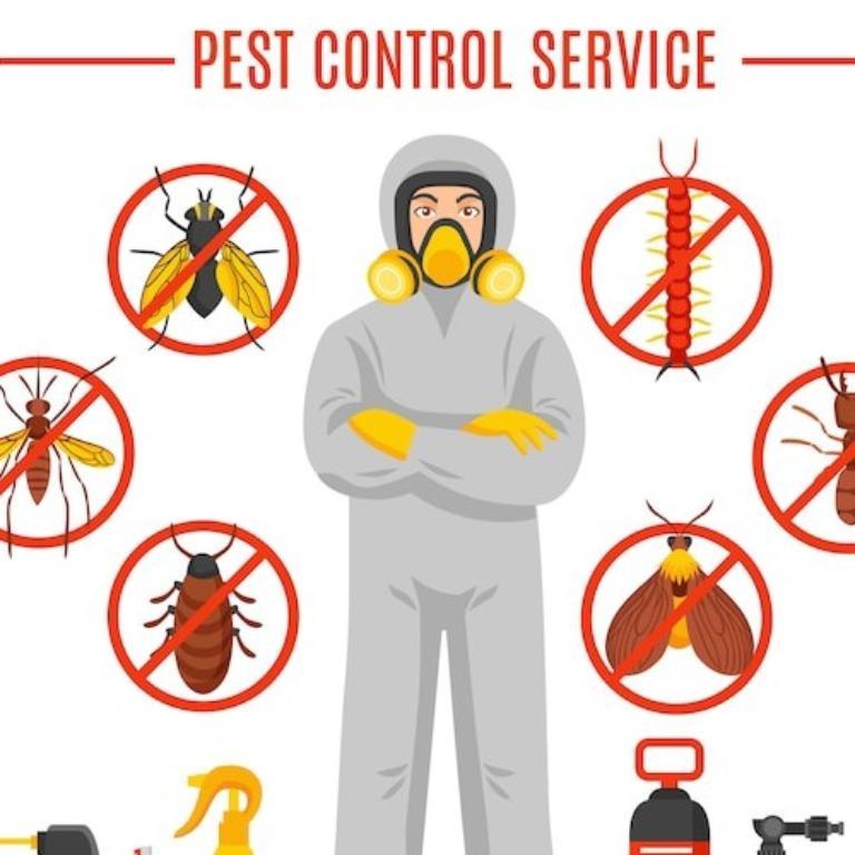 Pest control service in Chennai - Image 2