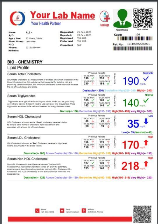 New Features Online Medical Lab Software - Run from any Computer in Cantonment - Image 4