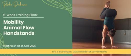6-week Training Blocks - Courses In Mobility, Animal Flow & … in Nelson - Image 1
