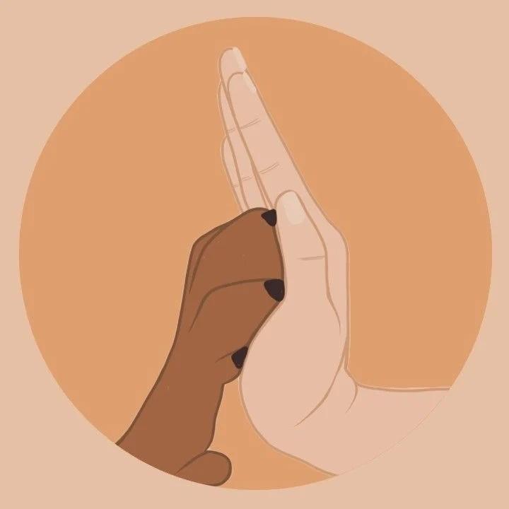 DIBUJOS DIGITALES en Resistencia - Imagen 2