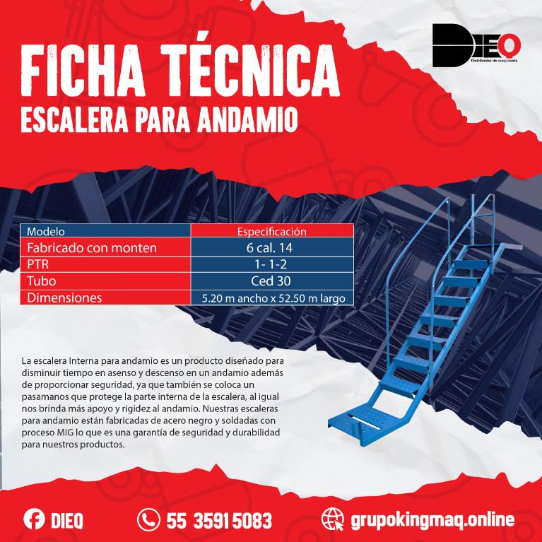 ESCALERA PARA ANDAMIO en México - Imagen 1