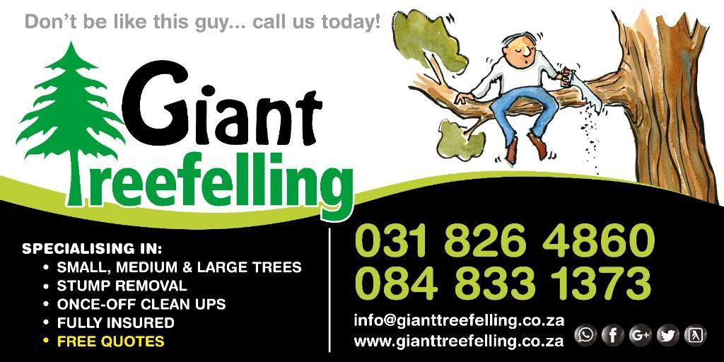 Giant Treefelling Service in Durban - Image 1