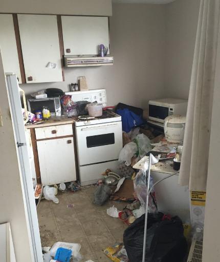 Junk Removal Services in Maple Ridge, BC in Bellingham - Image 2