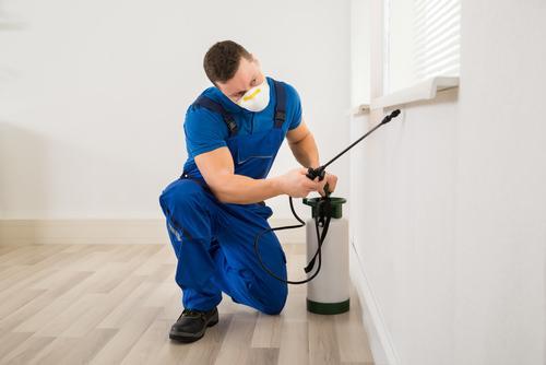 Jim's Pest Control in Georgetown - Image 1