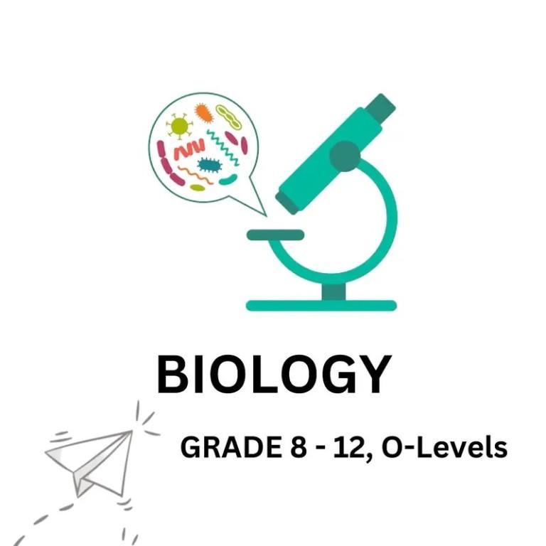 Home Tutor | Science & Commerce | Matric, Fsc, O-levels | RWP & in Rawalpindi - Image 6