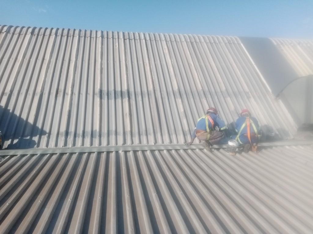Building and carpentry in Benoni - Image 2