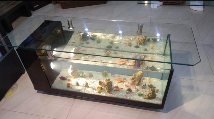 Coffee table aquarium in Cantonment - Image 2