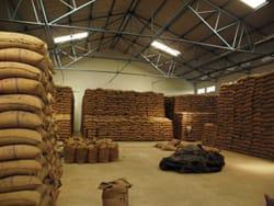 Unfurnished Commercial Warehouse For Rent In Rajarhat in Bhāngar - Image 2