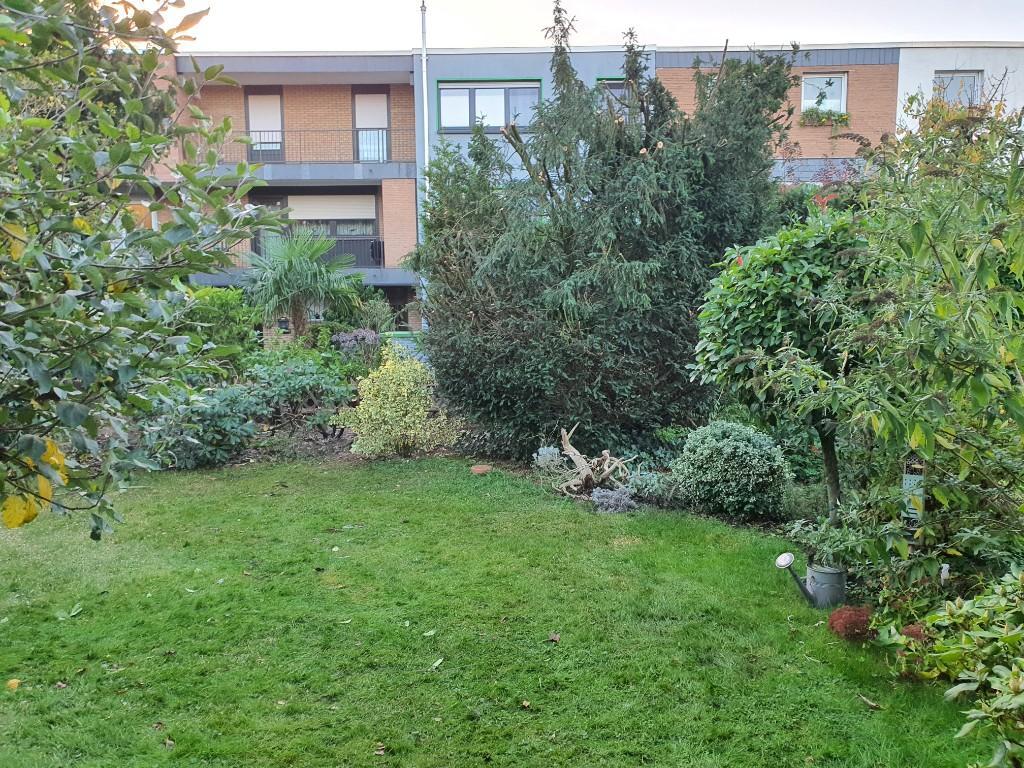 Team wester Garten Landschaftbau in Köln - Bild 2