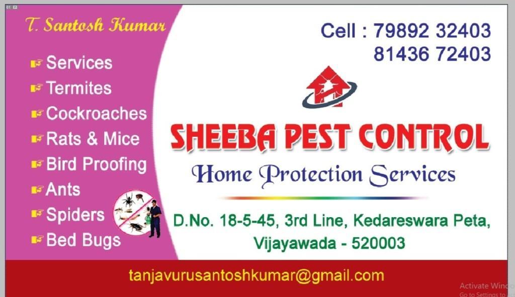 Pest control services in Hyderabad - Image 2