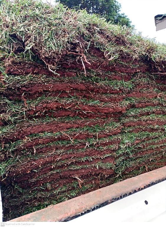 Go Instant lawn in Randburg - Image 3