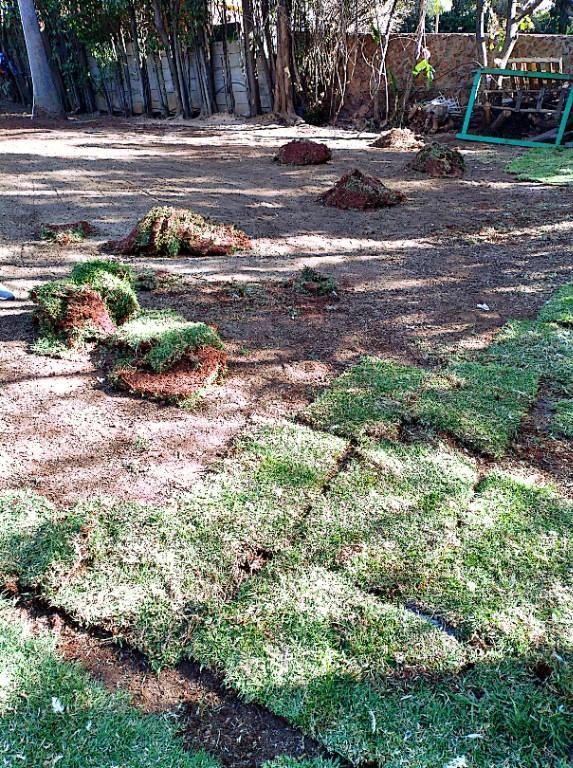 Go Instant lawn in Randburg - Image 9