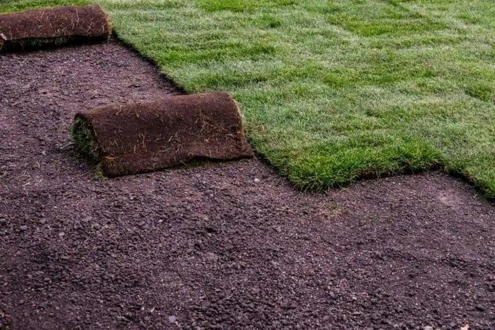 Go Instant lawn in Randburg - Image 13